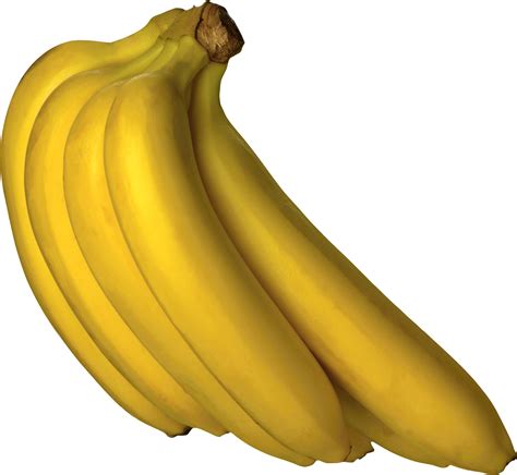 bananacoko porno|We ️ BananaCoko free HD porn videos